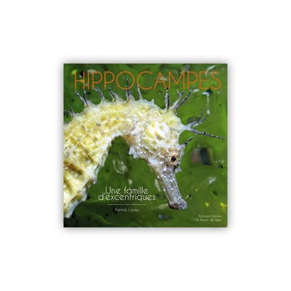 Hippocampes, une famille d'excentriques