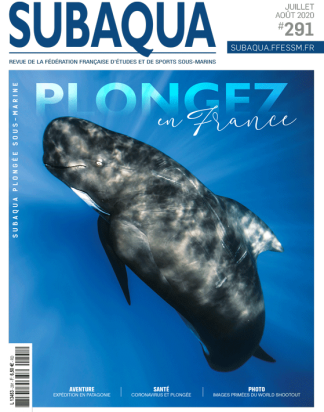 Subaqua n° 291