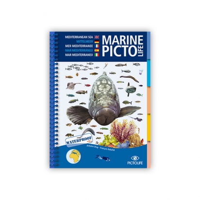 Marine PICTO LIFE - Mer Méditerranée