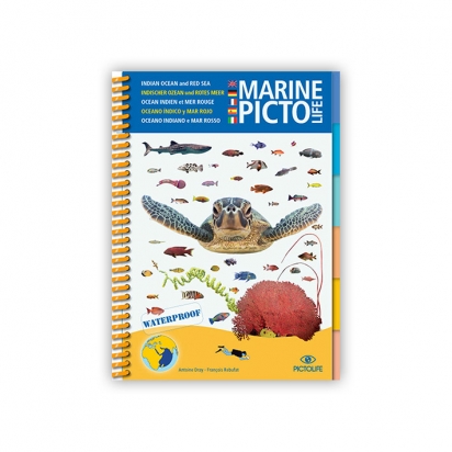 Marine PICTO LIFE - Mer Rouge Océan Indien