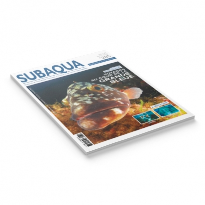 Subaqua N° 285