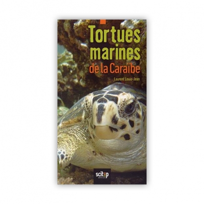 Tortues marines de la Caraïbe