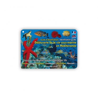 Guide d'identification - Vie sous-marine en Méditerranée