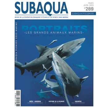 Subaqua n° 289