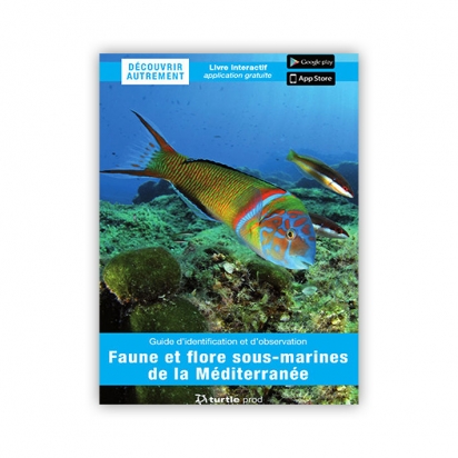 Découvrir Autrement - La faune et flore de Méditerranée