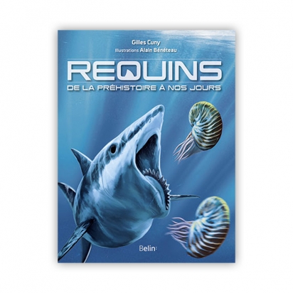 Requins, de la préhistoire à nos jours