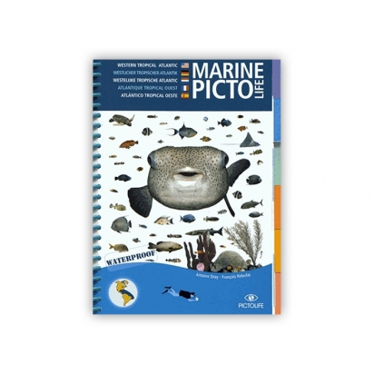 Marine PICTO LIFE - Atlantique tropical Ouest - Caraibes