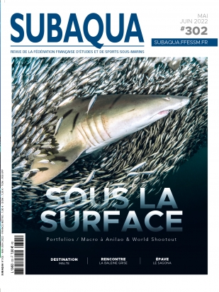 Subaqua n°302