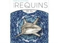 Rencontres avec les requins