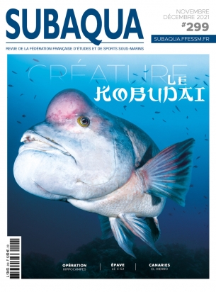 Subaqua n° 299
