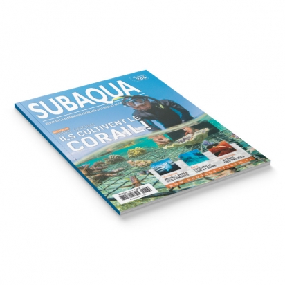Subaqua N° 266