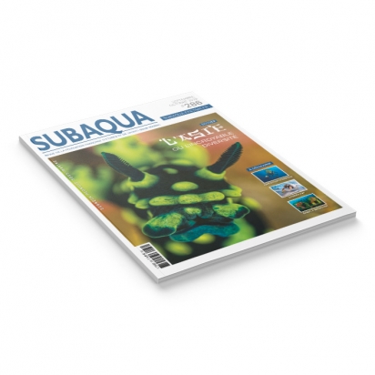 Subaqua N° 286
