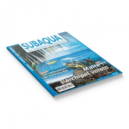 Subaqua N° 240