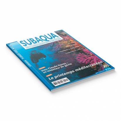 Subaqua N° 242