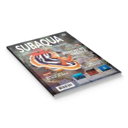 Subaqua N° 252