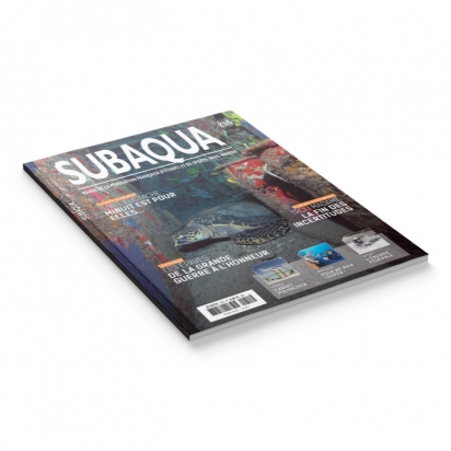 Subaqua N° 255