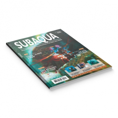 Subaqua N° 262