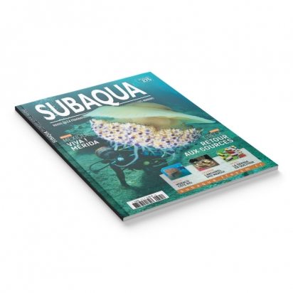 Subaqua N° 275