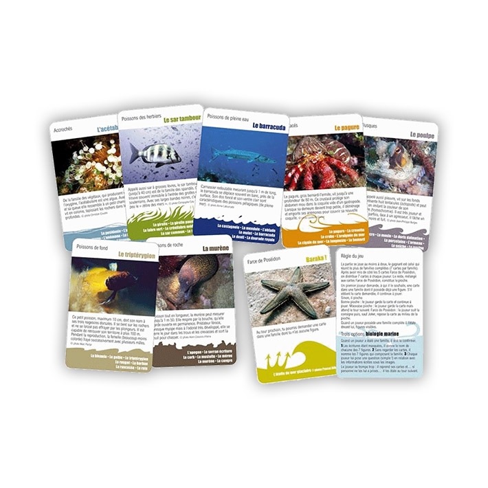 Apprendre la bio en s'amusant : Jeu de 7 familles de la Méditerranée