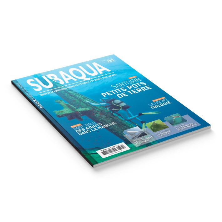 Subaqua N° 253
