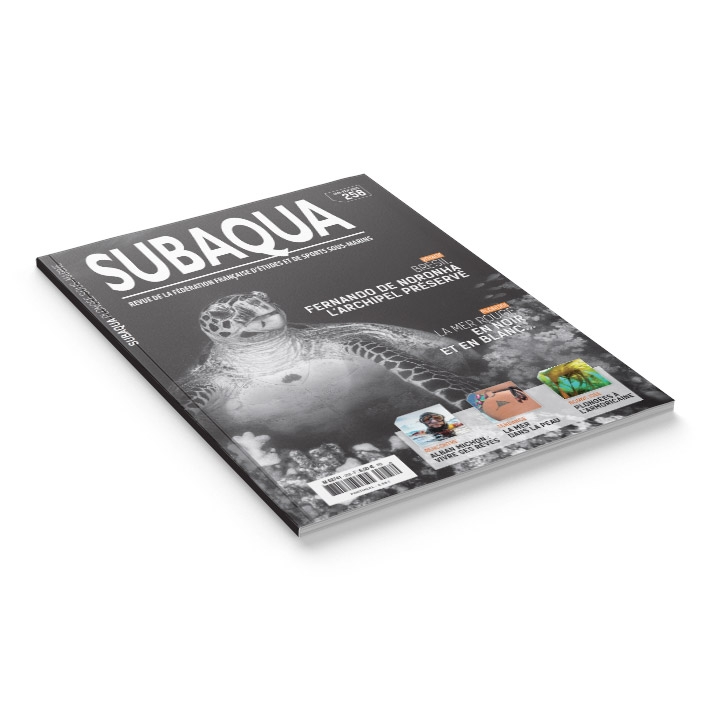 Subaqua N° 258