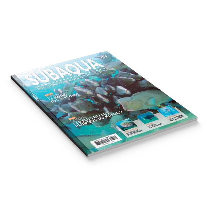Subaqua N° 259