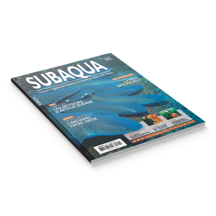 Subaqua N° 261