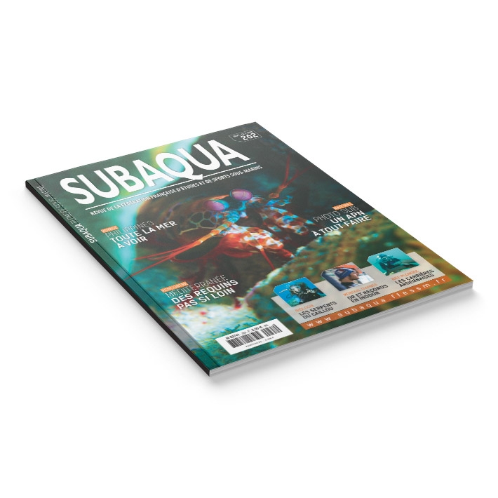 Subaqua N° 262