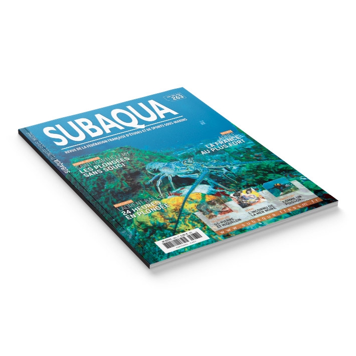 Subaqua N° 263