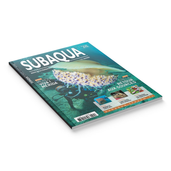 Subaqua N° 275